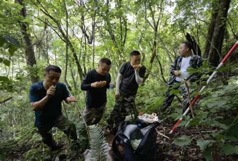 【我为生态站好岗】大山里的“特种兵” 岚皋县人民政府