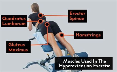 10 Best Hyperextension Alternatives With Walkthroughs