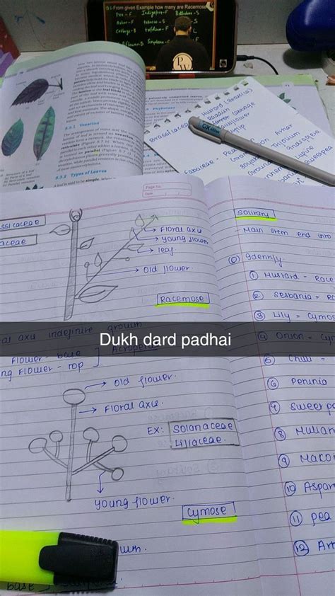 Pin By Anisha Hembrom On Snap Captions Study Snaps Ideas Study