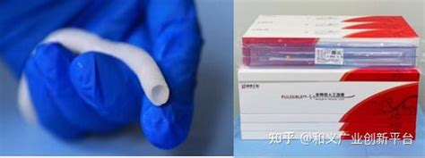 专访南开大学孔德领丨打造“活”的小口径人工血管，突破体内再生瓶颈【医械变革人物专访11期】 知乎