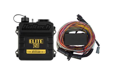 Haltech Elite Wiring Diagram