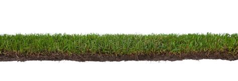 Grass with roots and dirt stock photo. Image of background - 11476510