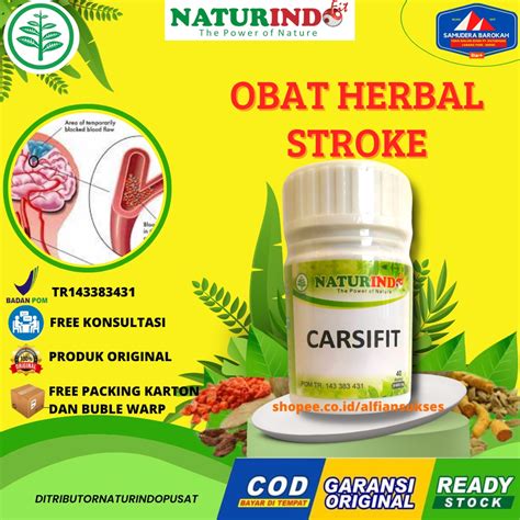 Jual Obat Stroke Struke Struk Strok Ringan Iskemik Bpom Halal Herbal