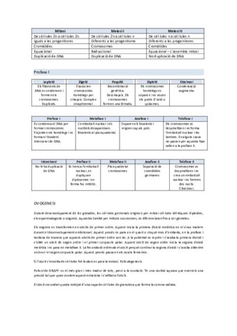 Apuntes De Estrategias Alternativas De Resoluci N De Conflictos