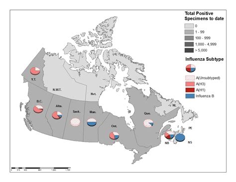 Fluwatch Report October 6 To October 12 2019 Week 41 Canada Ca