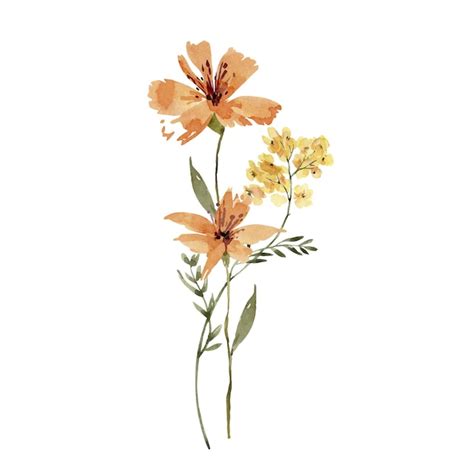 Délicat Bouquet De Fleurs Orange Illustration Aquarelle Vecteur Premium