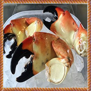 FL Stone Crab Delivered – FLORIDA STONE CRAB