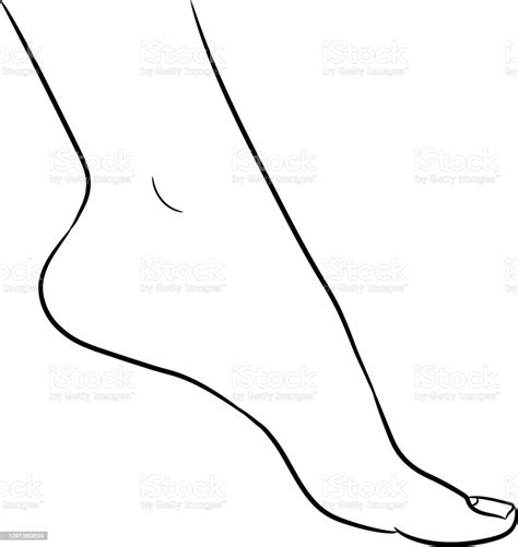 Foot Female From The Contour Black Brush Lines On White Background