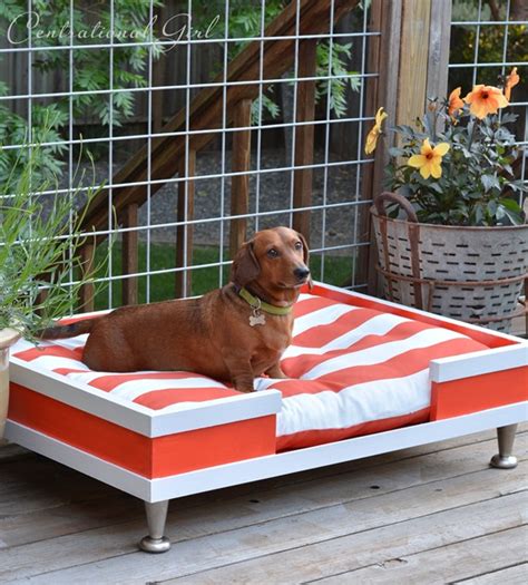 Diy Modern Pet Bed Centsational Style