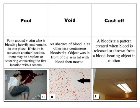 9 Vocabulary Blood Spatter For Forensics By Autumn Weber Tpt