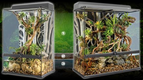 Natural Terrarium Medium X Tall