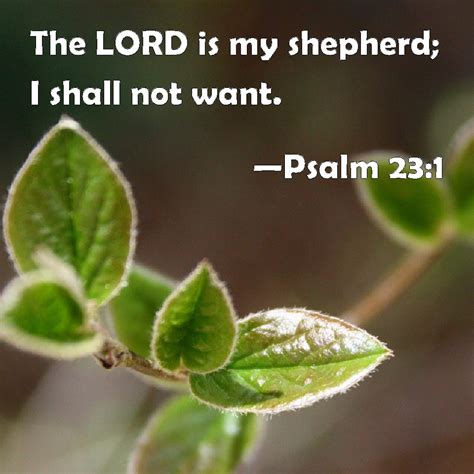 Psalm The Lord Is My Shepherd I Shall Not Want