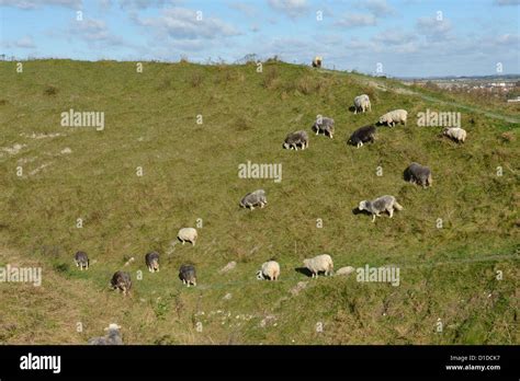 Old Sarum Hill Fort Hi Res Stock Photography And Images Alamy