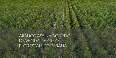 Arauco Vende Opera O Florestal No Paran Arauco Brasil