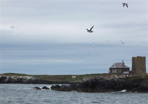 Brownsman And Staple Island Barbara Carr Cc By Sa Geograph