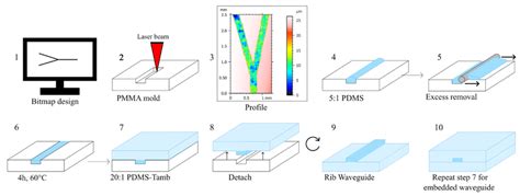 All Pdms Waveguides Fabrication Procedure As Described In The Text