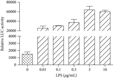 Metformin suppressed LPS induced NF κB activities HEK294 TLR4 cells