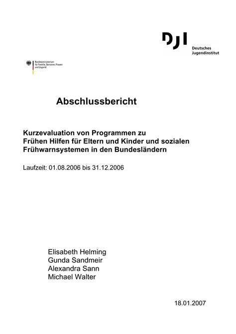 Abschlussbericht Deutsches Jugendinstitut E V