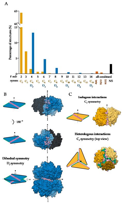 Ijms Free Full Text Modeling And Structure Determination Of Homo