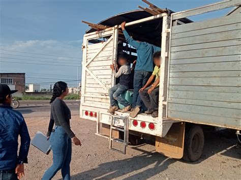 Migrantes víctimas del trabajo infantil en campos agrícolas Ríodoce