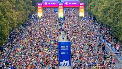 Berlin Marathon 2024 Merchandise For Sale Nicki Amabelle