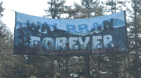 Old Growth Activists Hang Banner Over B C Highway