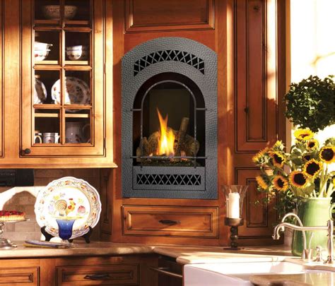 Check Out Our Online Fireplace Store Ann Arbor Mi Clean Sweeps Mi