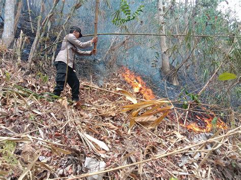 Lahan Seluas Hektare Dusun Bantarpanjang Cilacap Terbakar