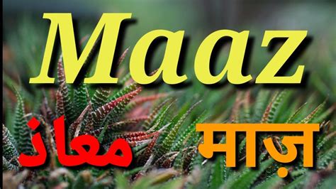 Maaz Name Meaning Maaz Name Status Maaz Name Whatsapp Status