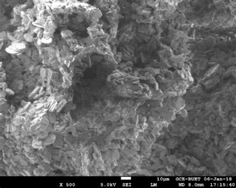 Sem Image Of Sintered Alumina Sample Download Scientific Diagram