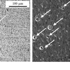 A Microstructure And B SEM Image Of AM Samples After T6 Treatment