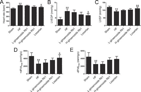 Figure From Ginsenoside Rb Improves Cardiac Function And Remodeling