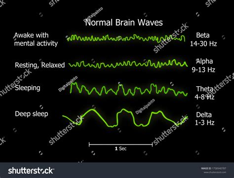 human brain waves diagram chart illustration stock illustration