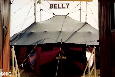 Norberts Internationale Circuswelt Circus Gebr Der Belly