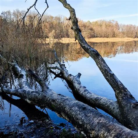 Entlang Der Grunewaldseenkette Vom Hundekehlesee Zum Schlachtensee