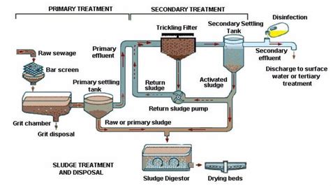 Sewage Primary Settling Tank And Water Treatment Process Download