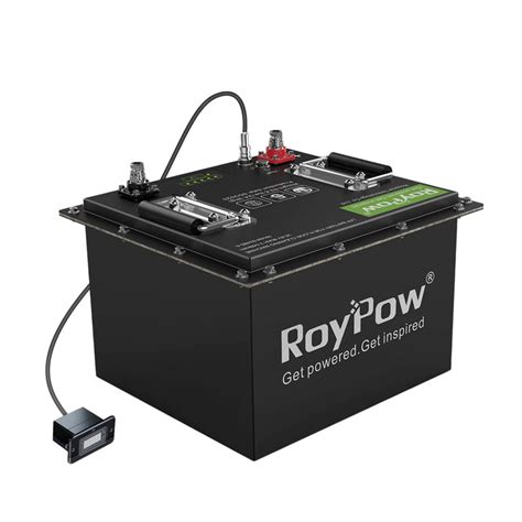 Roypow 12v 30ah リン酸鉄リチウムイオンバッテリーlifepo4 電動リール用バッテリー 3500サイクル Bmsバッテリ