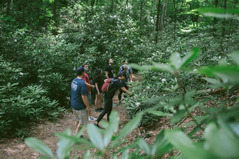 Brasstown Bald Find Outdoors