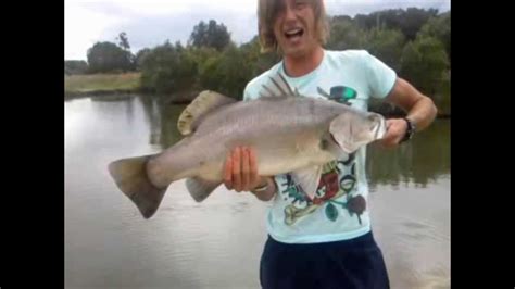 Bli Bli Barramundi Park Fishing Park Big Barra Youtube