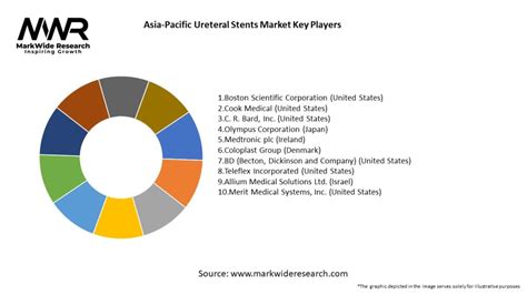 Asia Pacific Ureteral Stents Market Size Share Growth