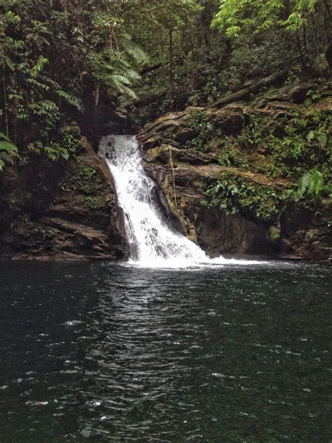 Rio Seco waterfall, Salybia, Trinidad. Copyright... - The Eye of Troy.