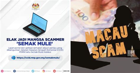 SEMAK MULE: Awas! Elak Jadi Mangsa Scammer Dengan Aplikasi Ini