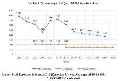 Kolaborasi Pemerintah Dalam Program Penurunan Angka Kematian Ibu Di