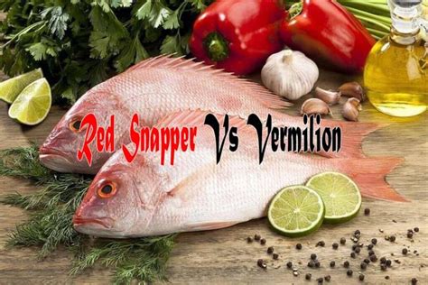 Red Snapper Vs Vermilion Which Tastes Better Ouachita