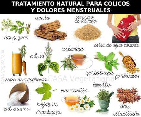 Plantas Para Hacer Te Y Combatir C Licos Te Para Colicos Menstruales