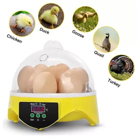 Chocadeira De Ovos Premium Ecol Gica Digital Para Aves Ovo Frete Gr Tis