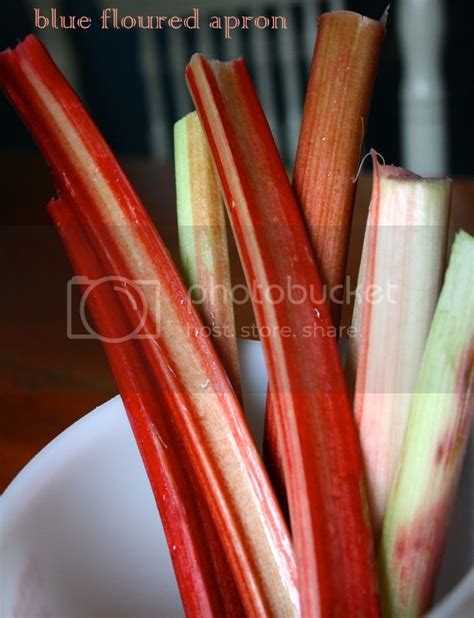 Blue Floured Apron Rhubarb Tapioca Pudding