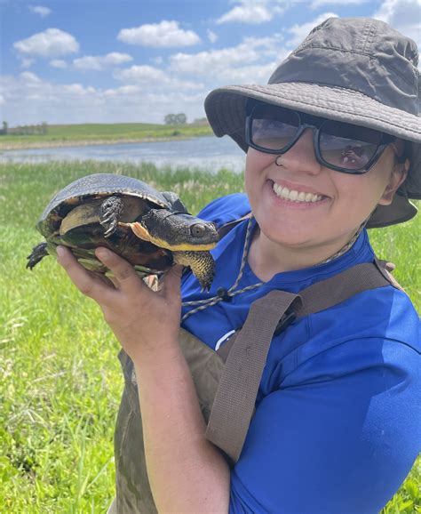 Partnership works to save threatened Iowa turtles | College of