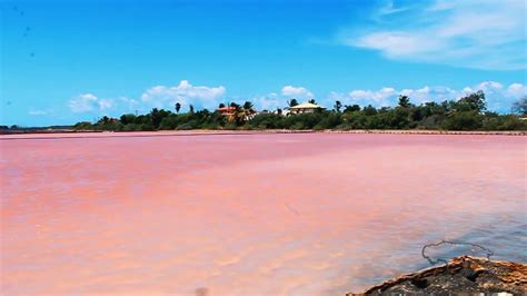 ¡salinas De Cabo Rojo One Of The Many Wonders To See In Puerto Rico Youtube