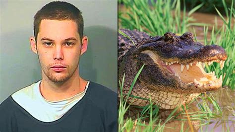 Alleged Burglar Killed By Alligator While Fleeing Deputies Fox8 Wghp